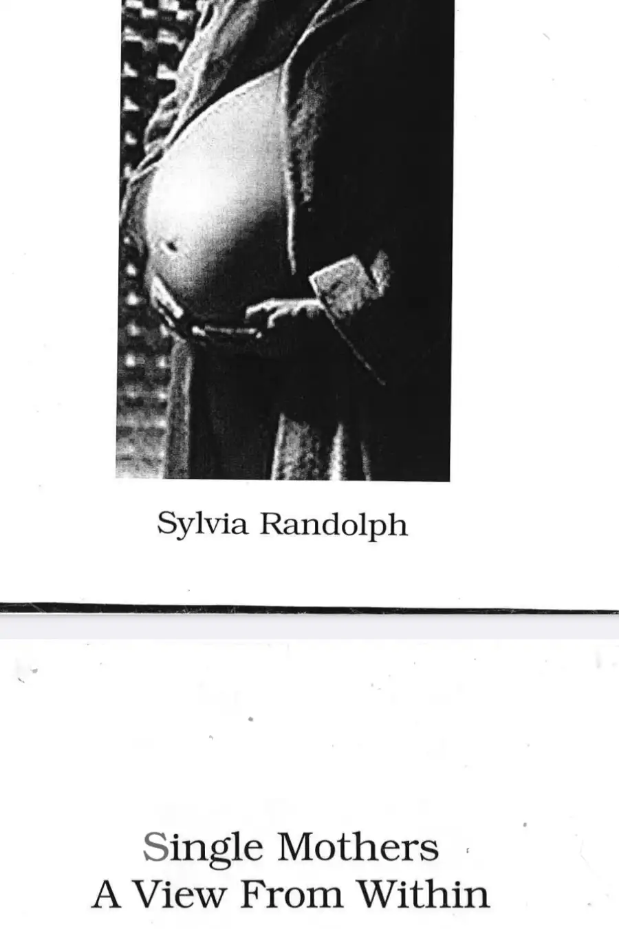 Single Mothers a View from Within Image